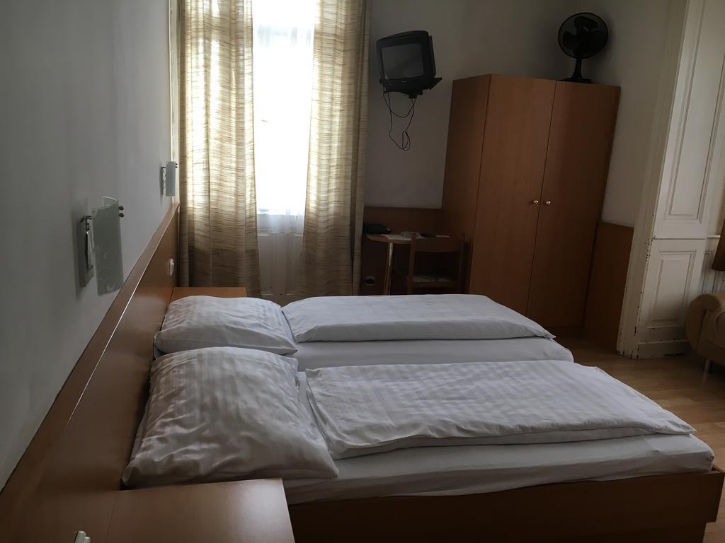 Ani Viena